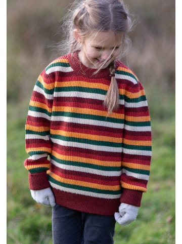 Little Green Radicals Organic Knitted Jumper in Multi