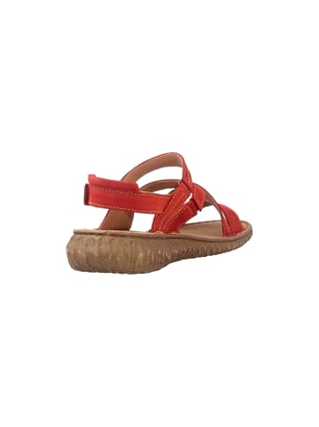 Josef Seibel Sandalen in Rot