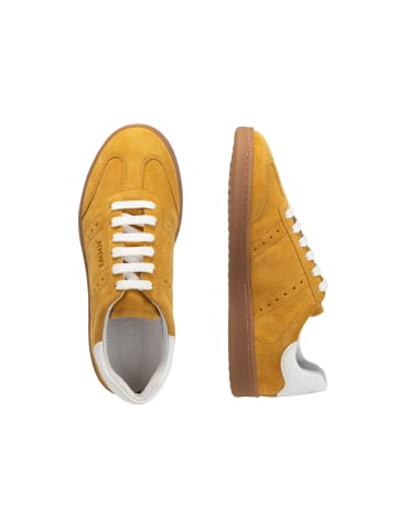 JOOP! Sneaker 'Velluto Isa in Gelb'