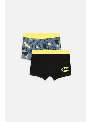 Coccodrillo Unterhose in bunt