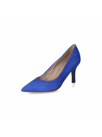 Tamaris Pumps in Blau