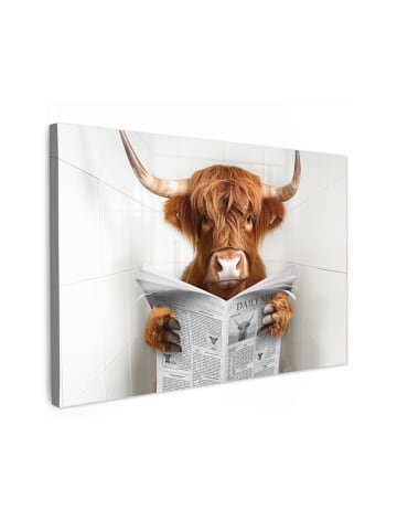 MuchoWow Leinwand bilder Zeitung Schottisches Hochlandrind (BxH)