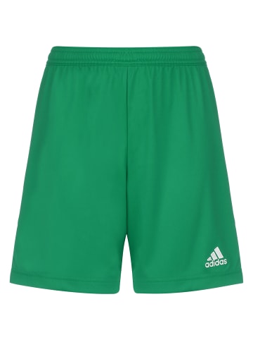 adidas Performance Trainingsshorts Entrada 22 in grün