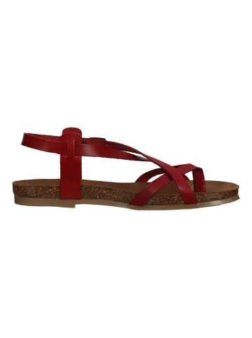 Cosmos Comfort Sandalen in Rot