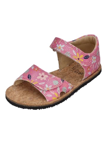 KOEL Sandalen AMELIA PRINT in rosa