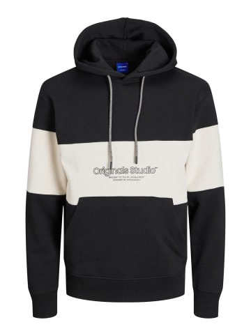 Jack & Jones Sweatshirt JORLAKEWOOD in Mehrfarbig