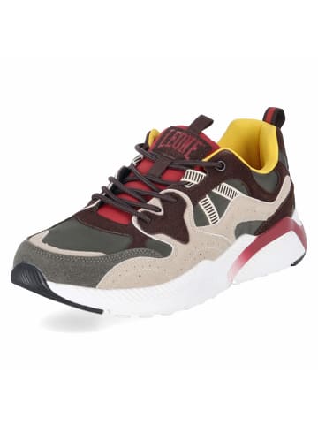 Low Sneaker in grün