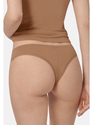 Sloggi Brazil Slip Go in Nostalgic Brown