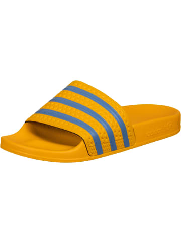 adidas Sandalen in crew yellow