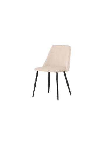 ebuy24 Esszimmerstuhl Night Beige 2er Set