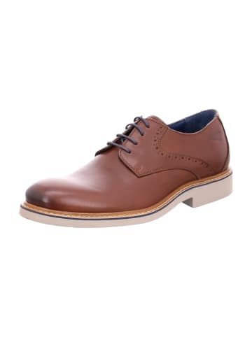 LLOYD Elegante Schnürschuhe in Braun