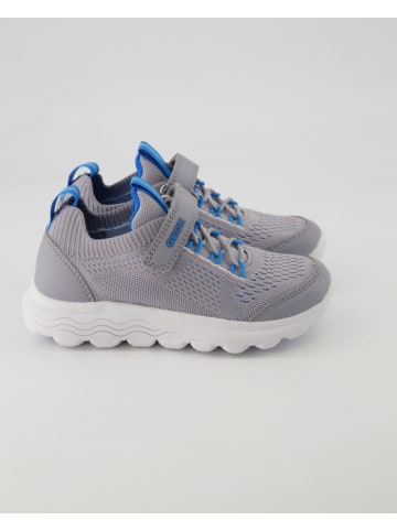 Geox Sneaker in Grau