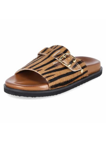 Bullboxer Pantoletten in beige
