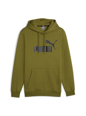 Puma Sweatshirt in Grün (Olive)