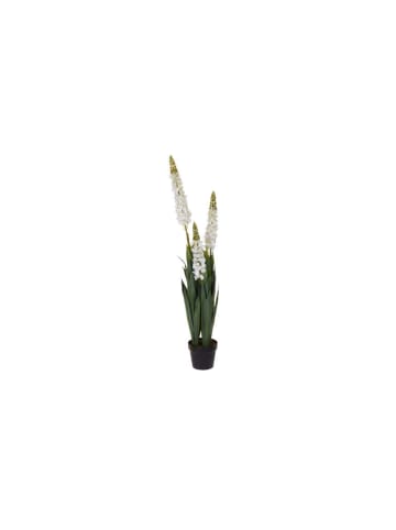 Home&Styling Collection Künstliche Lupine im Topf in Weiß, 120 cm