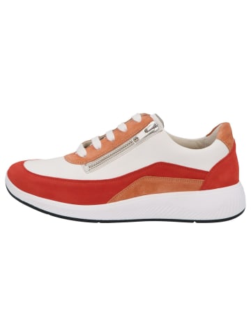 Solidus Schnürhalbschuh Halea 287 in grün