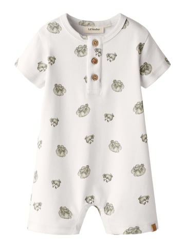 name it Body in Coconut Milk