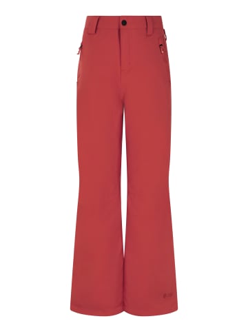Protest " PRTSTERIO JR in Barn Red