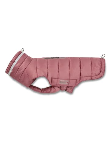 WOLTERS Steppjacke Hund Cosy Rückenlänge: 60 cm, rost rot