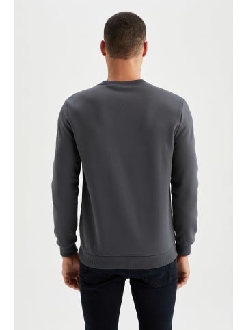 DeFacto Sweatshirt REGULAR FIT in Anthra