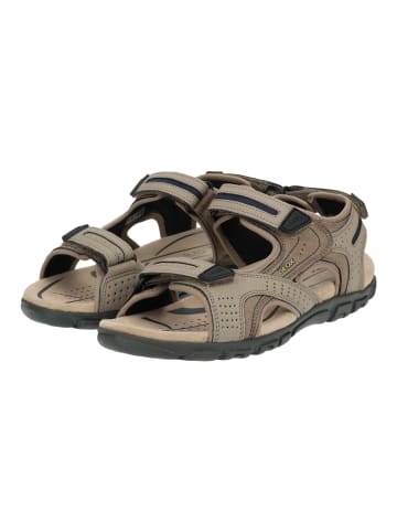 Geox Sandalen in Sand