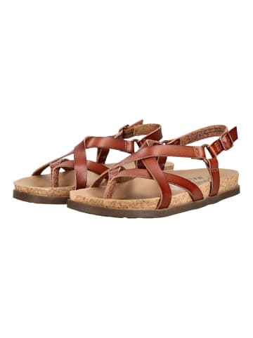 Blowfish Sandalen in Braun