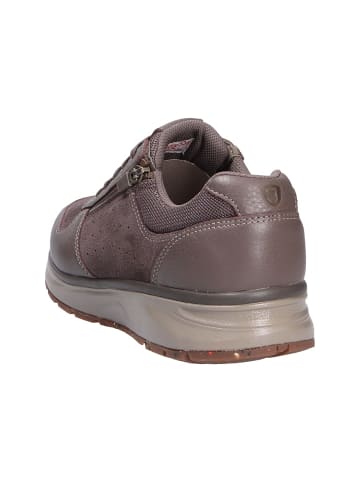 Joya SchnĆ¼rschuh DYNAMO ZIP M BROWN in braun