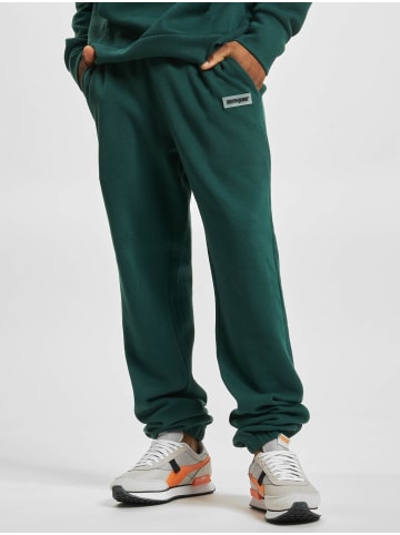 Sixth June Sweatpant in green