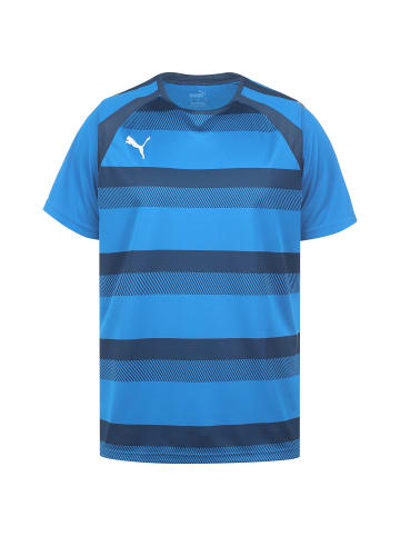 Puma Fußballtrikot teamVision in blau / weiß