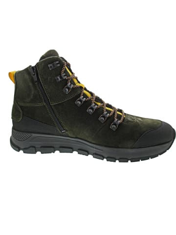 WALDLÄUFER H-Richard Schnürstiefelette Grün