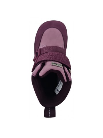 Affenzahn Klettschuh Friendy Otter in Lila
