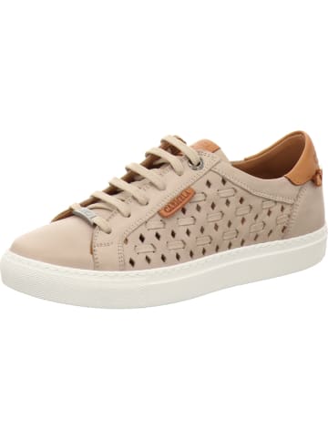 CARMELA Sneaker in grau