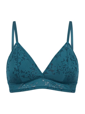 Schiesser Bügelloser BH Modern Lace mit herausnehmbaren Pads in Petrol