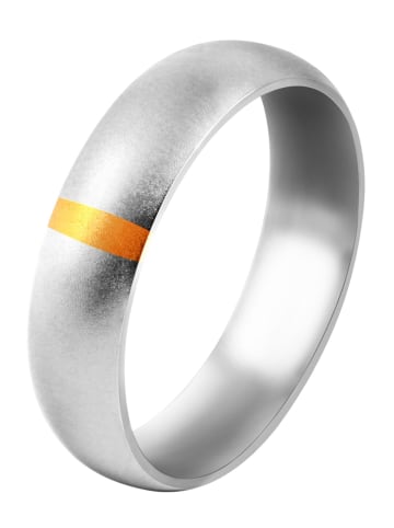Adeliás Herren Ring aus Edelstahl in silber