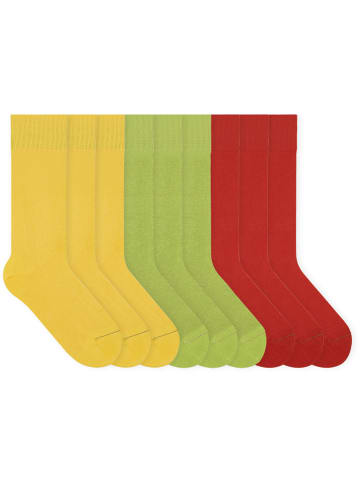 von Jungfeld Classic Socken-Set SIGNATURE Set in Drei Ampeln