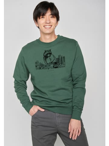GreenBomb Sweatshirt Animal Raccoon City in Flaschen Grün