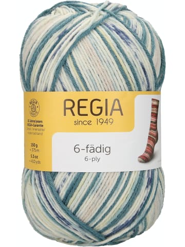 Regia Handstrickgarne 6-fädig Color, 150g in Frost Color