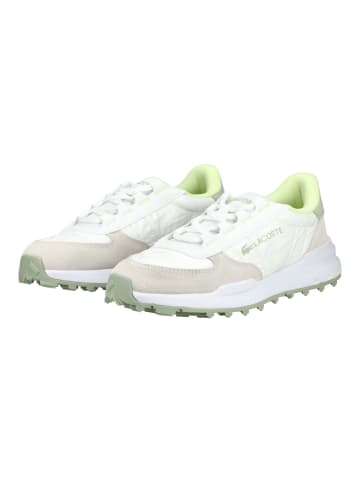 Lacoste Sneaker in Weiß/Grün