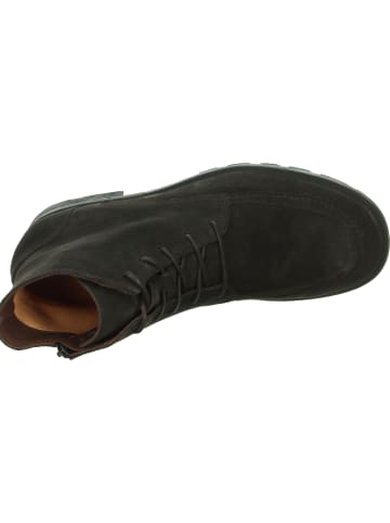 Think! Stiefelette HAWARA in Mocca