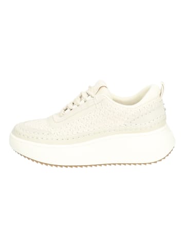 Steve Madden Sneaker in Bone