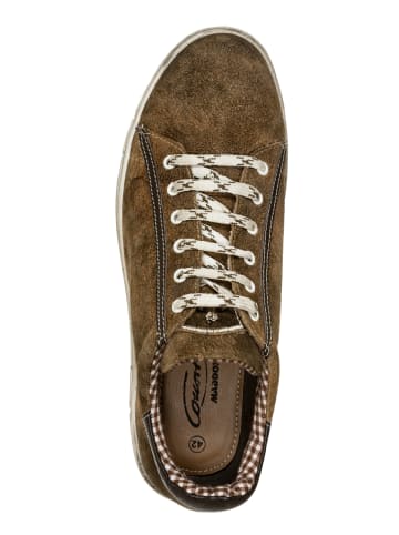 MADDOX Schuhe SIEGFRIED in nappato wood - braun