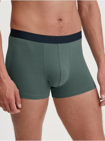 Calida New Boxer, 3er-Pack in dark glen