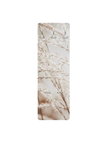 WALLART Garderobe - Pampasgras Close Up in Creme-Beige