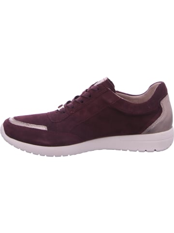 Caprice Sneaker in bordeaux
