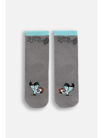 Coccodrillo Socken in bunt