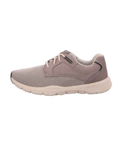Pius Gabor Sneaker Low in grau