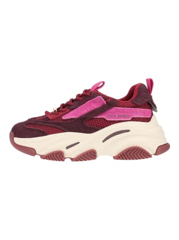 Steve Madden Sneaker POSSESSION-E in Cherry