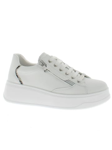 Armata di Mare Sneaker AMDS61H23-STRWHTROCK Weiß