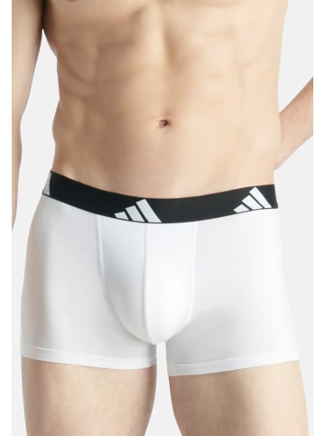 Adidas Sportswear Retro Short / Pant Active Flex Cotton in Mehrfarbig