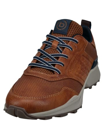 Bugatti Sneaker in braun